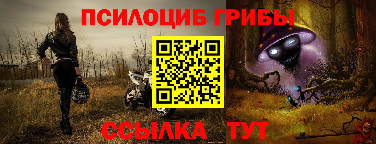 Псилоцибиновые грибы GOLDEN TEACHER Камышин